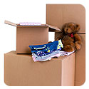 Packing and Communication Objectives for Your Long Distance Move